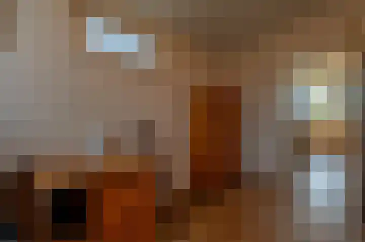 Prins Willem Alexanderln 48 Westmaas thumbnail 32