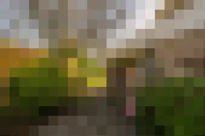 Prins Willem Alexanderln 48 Westmaas thumbnail 33