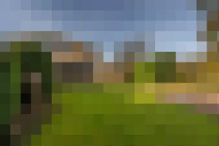Prins Willem Alexanderln 48 Westmaas thumbnail 34