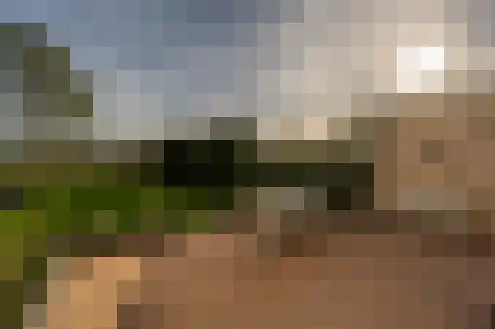 Prins Willem Alexanderln 48 Westmaas thumbnail 35
