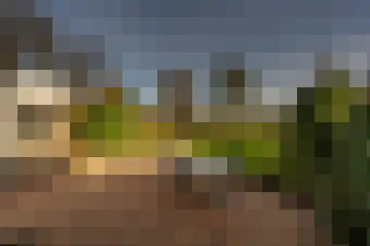 Prins Willem Alexanderln 48 Westmaas thumbnail 36
