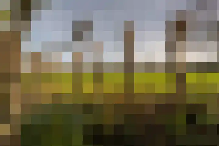 Prins Willem Alexanderln 48 Westmaas thumbnail 37