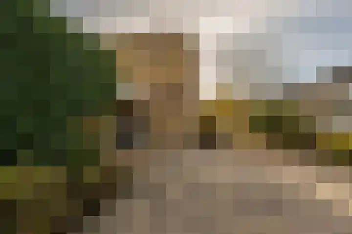 Prins Willem Alexanderln 48 Westmaas thumbnail 5