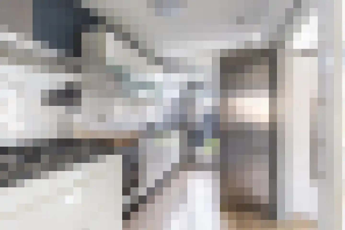 Prins Willem Alexanderln 6 Westmaas thumbnail 10
