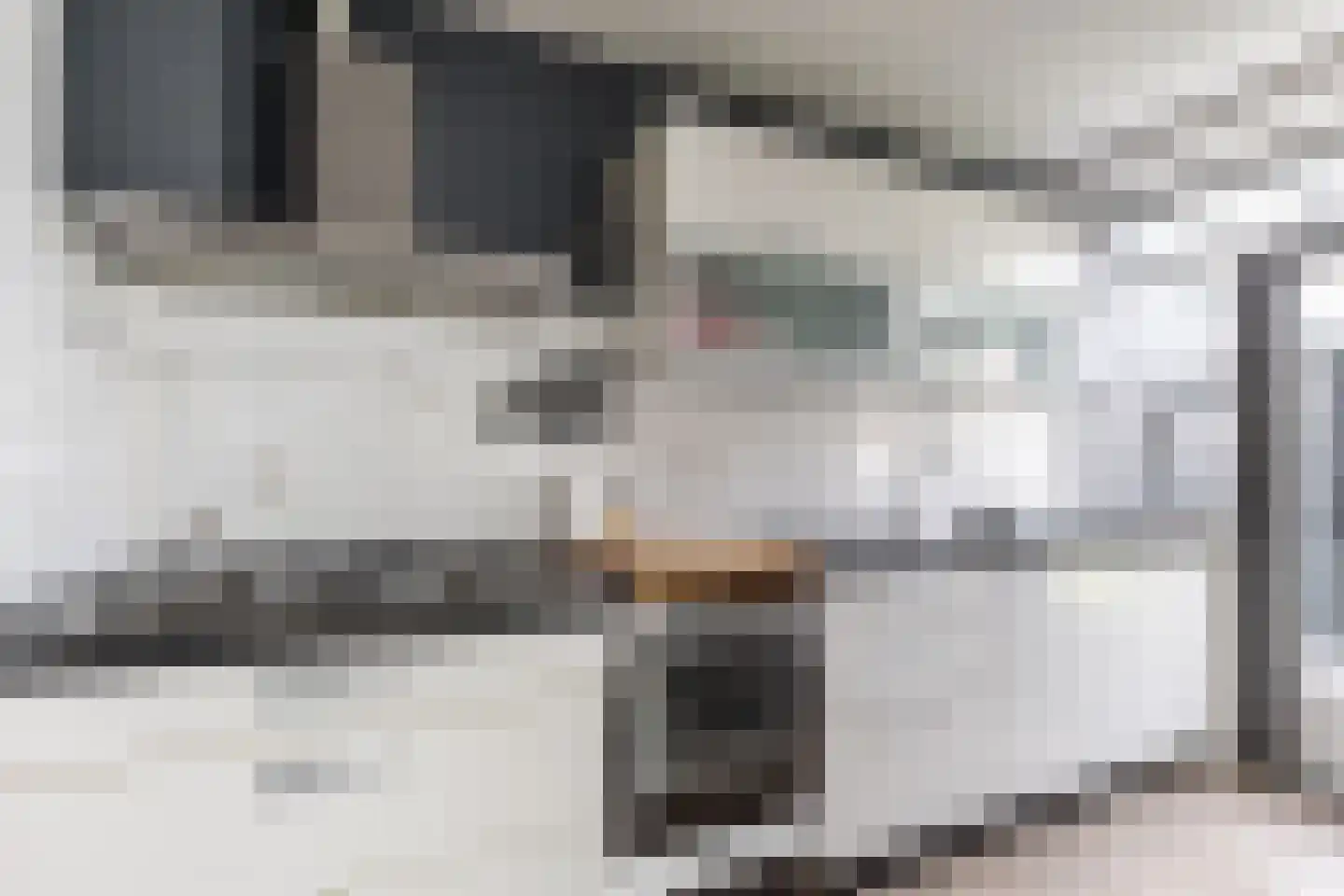 Prins Willem Alexanderln 6 Westmaas thumbnail 11