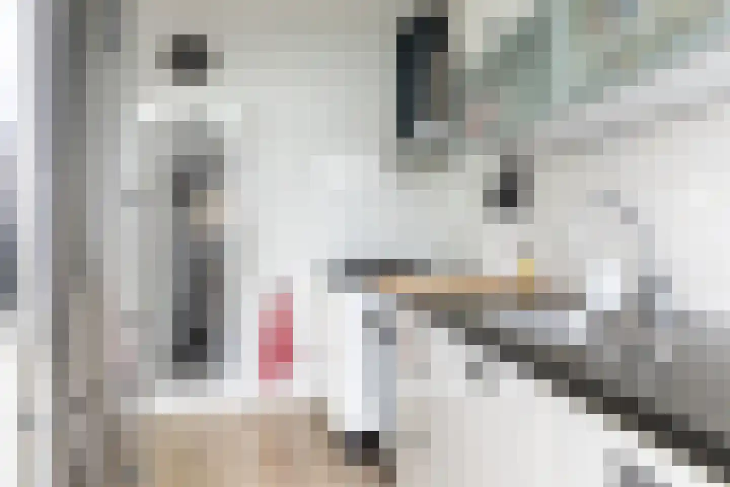 Prins Willem Alexanderln 6 Westmaas thumbnail 12