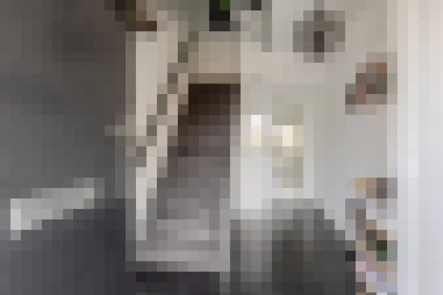 Prins Willem Alexanderln 6 Westmaas thumbnail 14