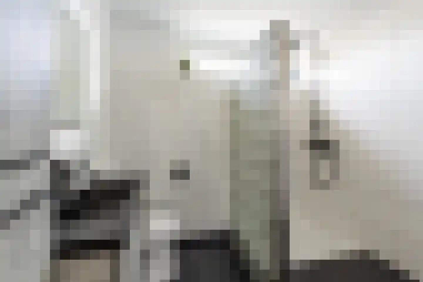 Prins Willem Alexanderln 6 Westmaas thumbnail 20