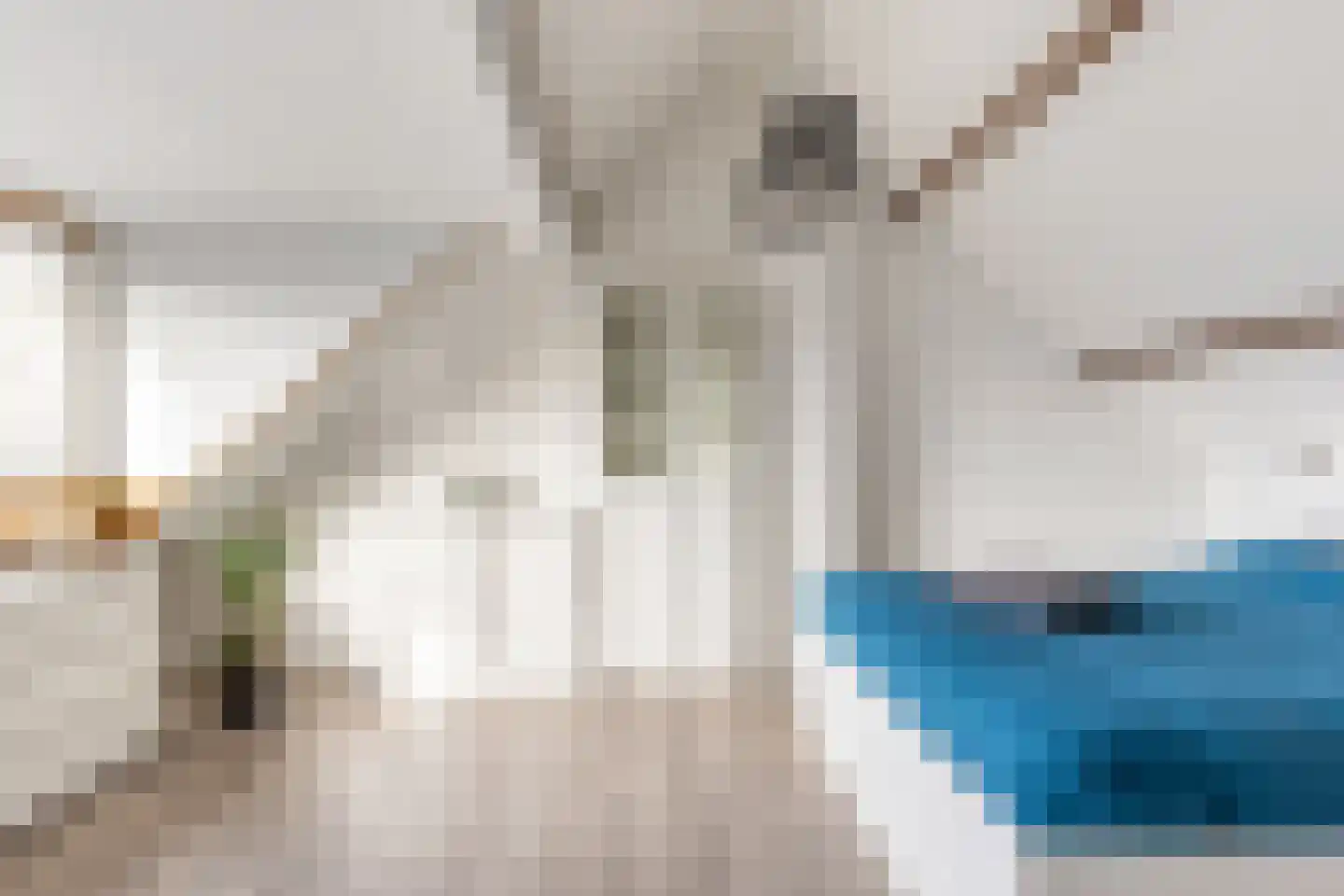 Prins Willem Alexanderln 6 Westmaas thumbnail 22