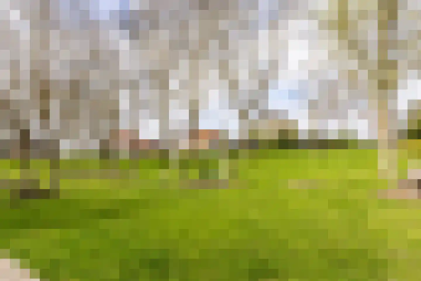 Prins Willem Alexanderln 6 Westmaas thumbnail 31