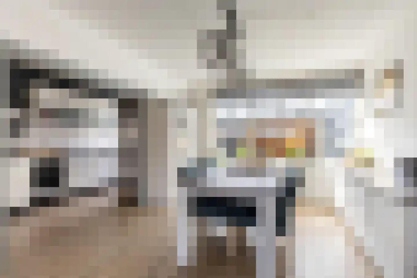 Prins Willem Alexanderln 6 Westmaas thumbnail 7