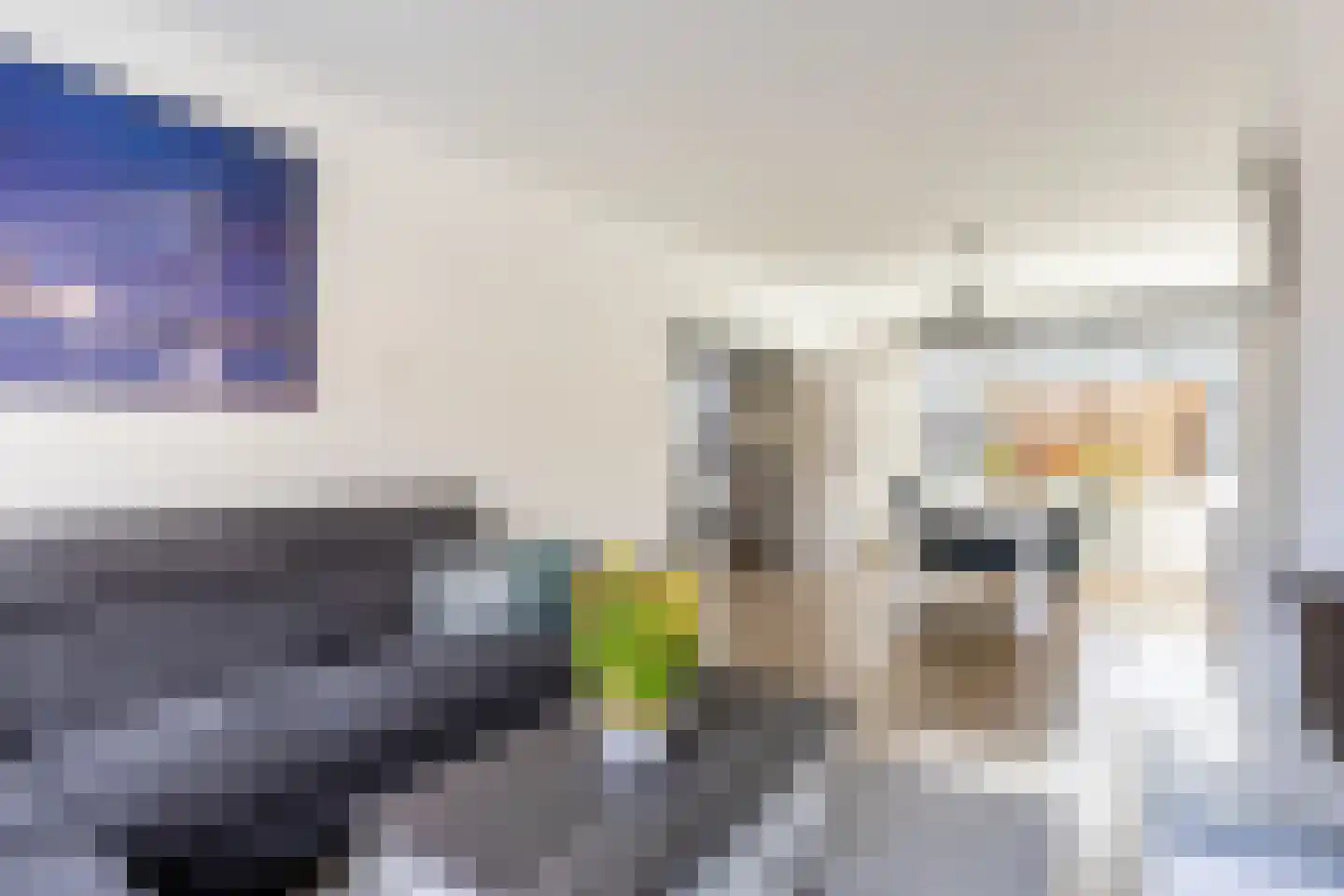 Prins Willem Alexanderln 6 Westmaas thumbnail 8