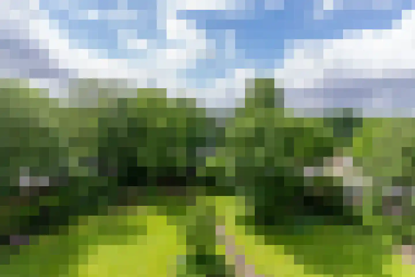 Prins Willem-Alexanderpark 377 Veenendaal thumbnail 8