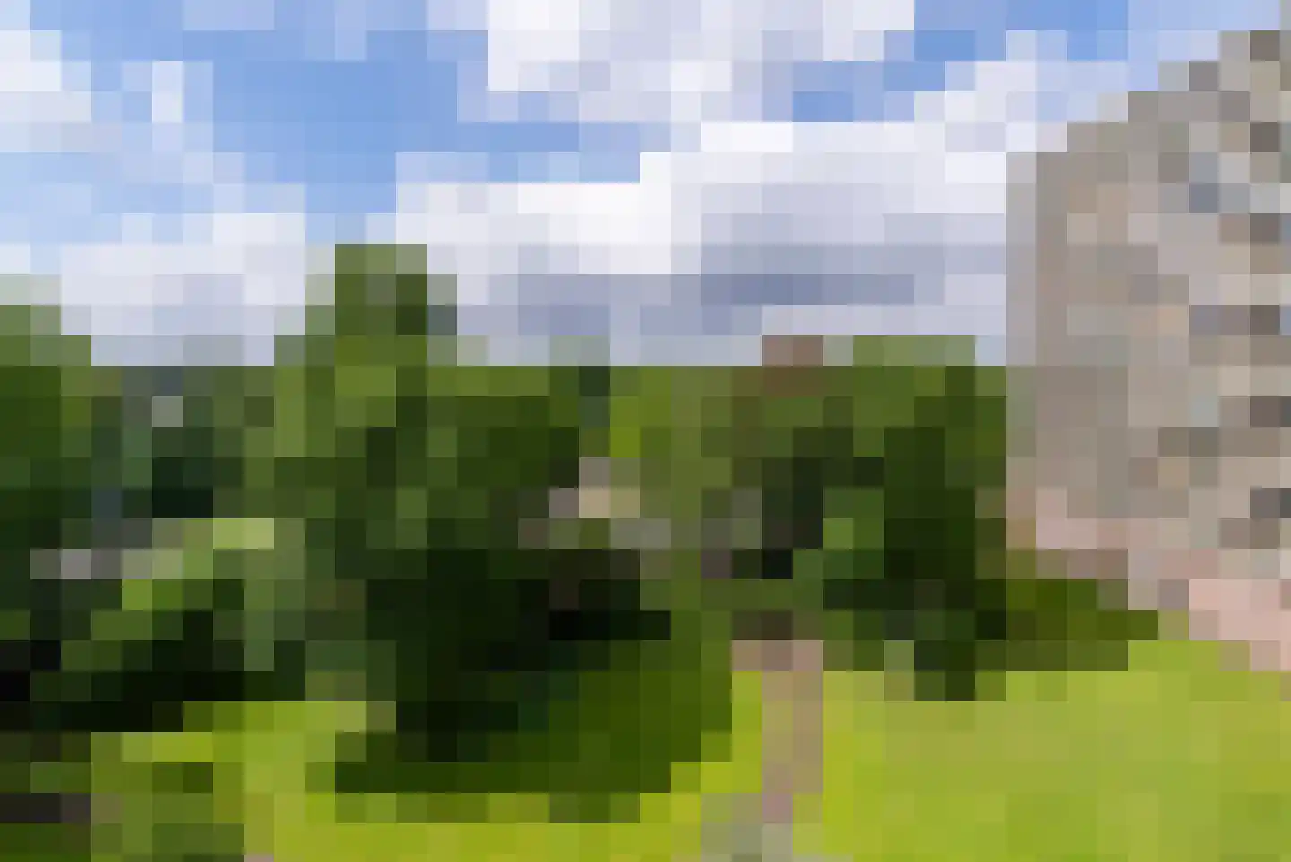 Prins Willem-Alexanderpark 377 Veenendaal thumbnail 9