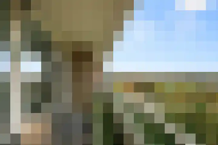 Prins Willem-Alexanderpark 435 Veenendaal thumbnail 5