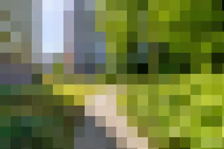 Prins Willem-Alexanderpark 507 Veenendaal thumbnail 29