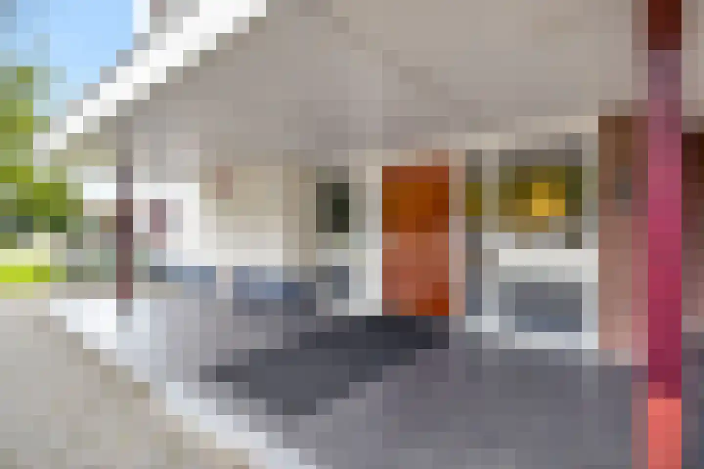 Prins Willem-Alexanderpark 53 Veenendaal thumbnail 36