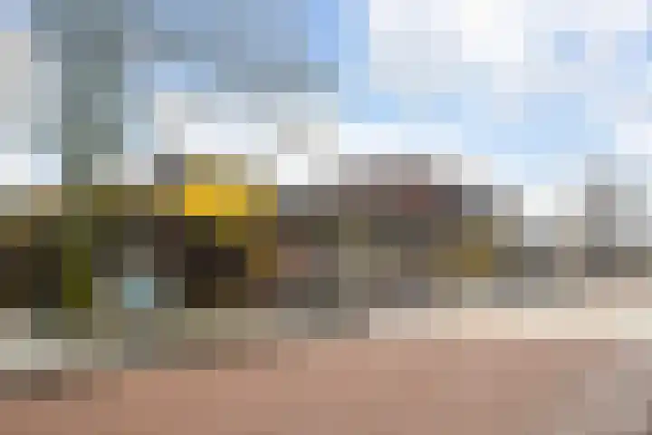 Prins Willem-Alexanderpark 547 Veenendaal thumbnail 37