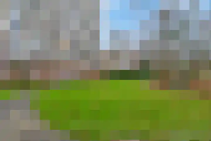 Prins Willem-Alexanderpark 587 Veenendaal thumbnail 27