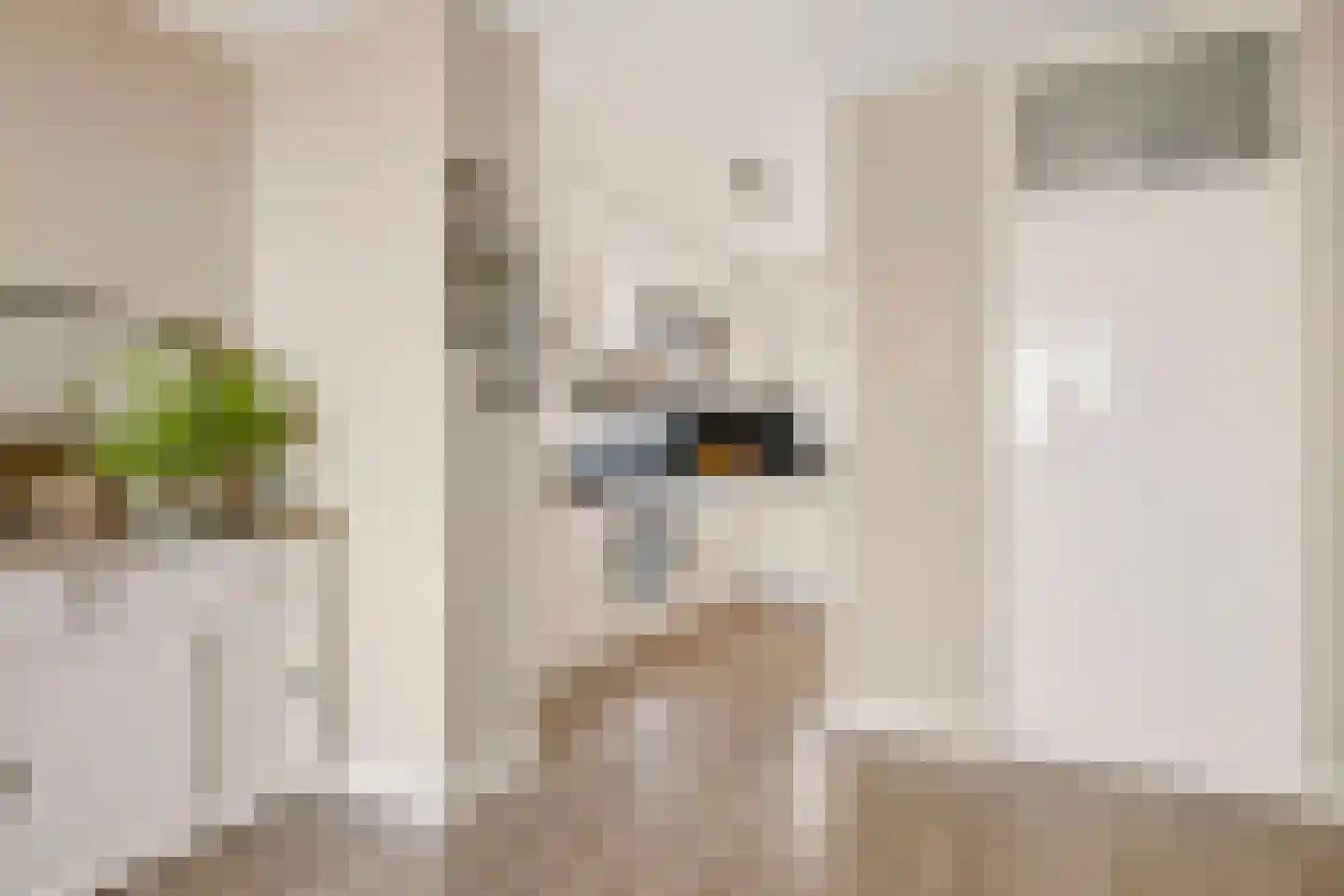 Prins Willem-Alexanderpark 599 Veenendaal thumbnail 10