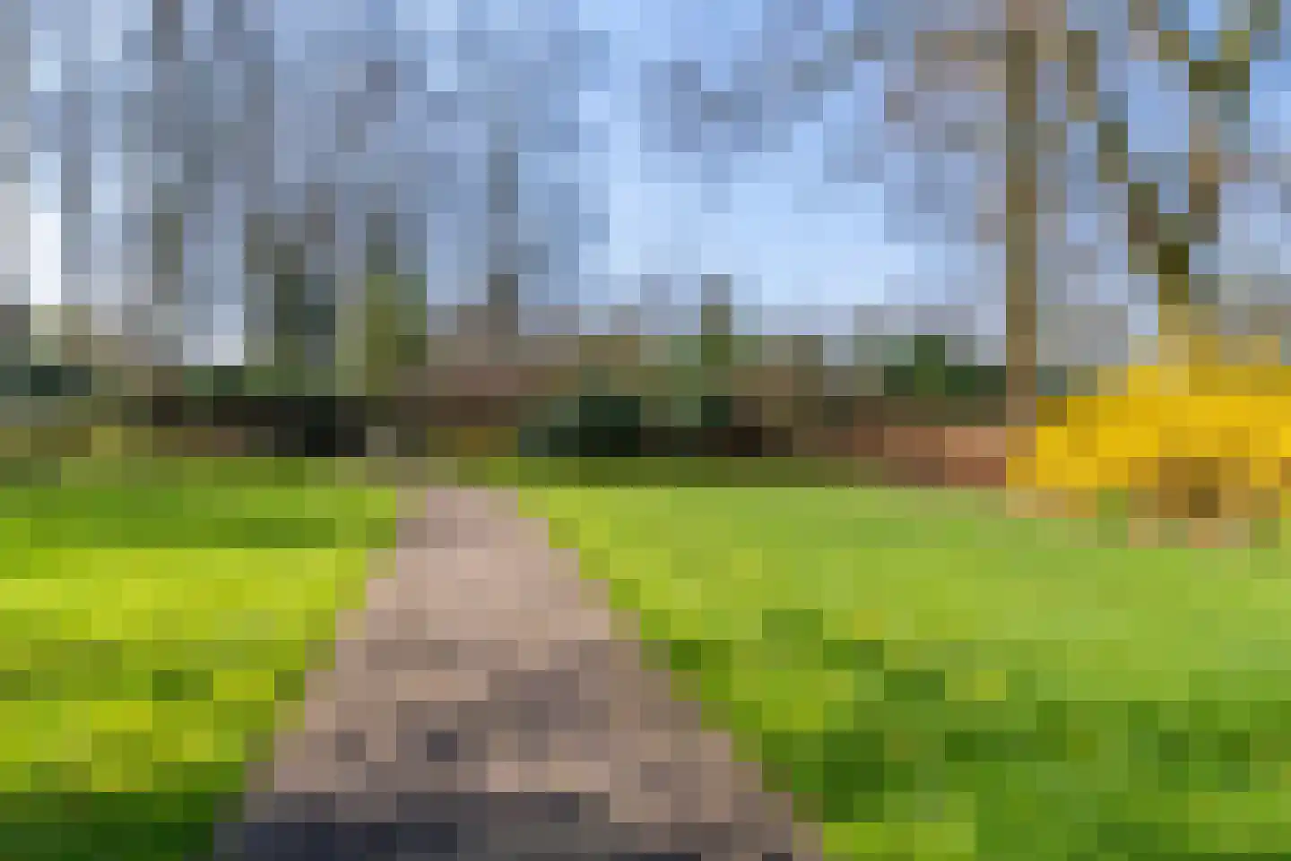 Prins Willem-Alexanderpark 607 Veenendaal thumbnail 31