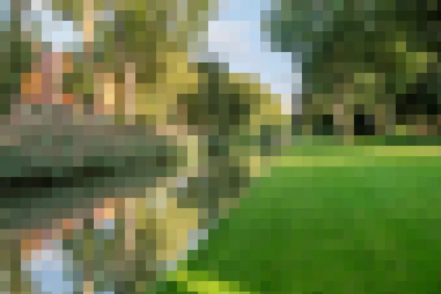 Prins Willem-Alexanderpark 87 Veenendaal thumbnail 5
