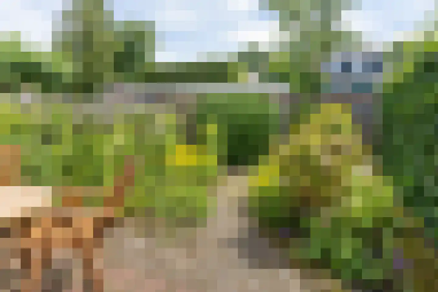 Prins Willem-Alexanderplantsoen 17 Maartensdijk thumbnail 31