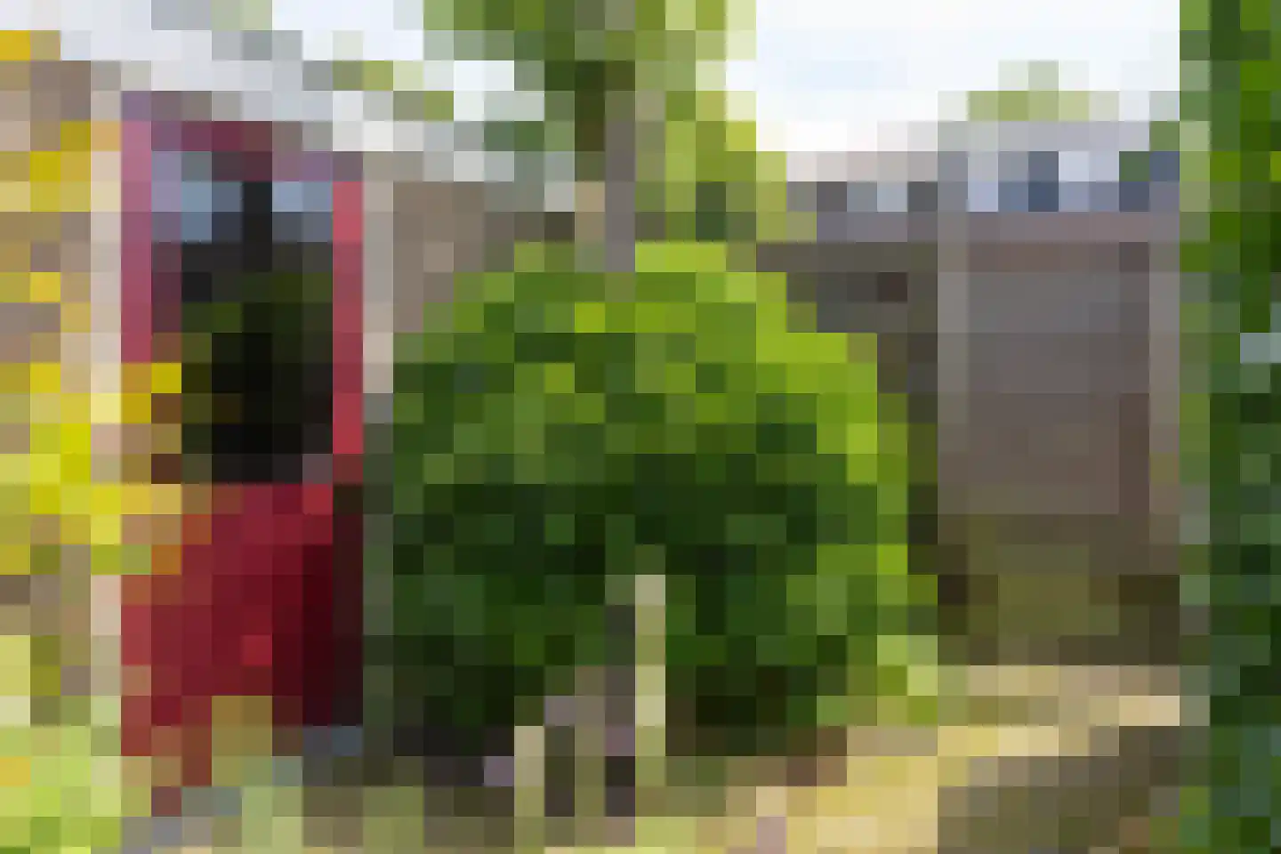 Prins Willem-Alexanderplantsoen 17 Maartensdijk thumbnail 32