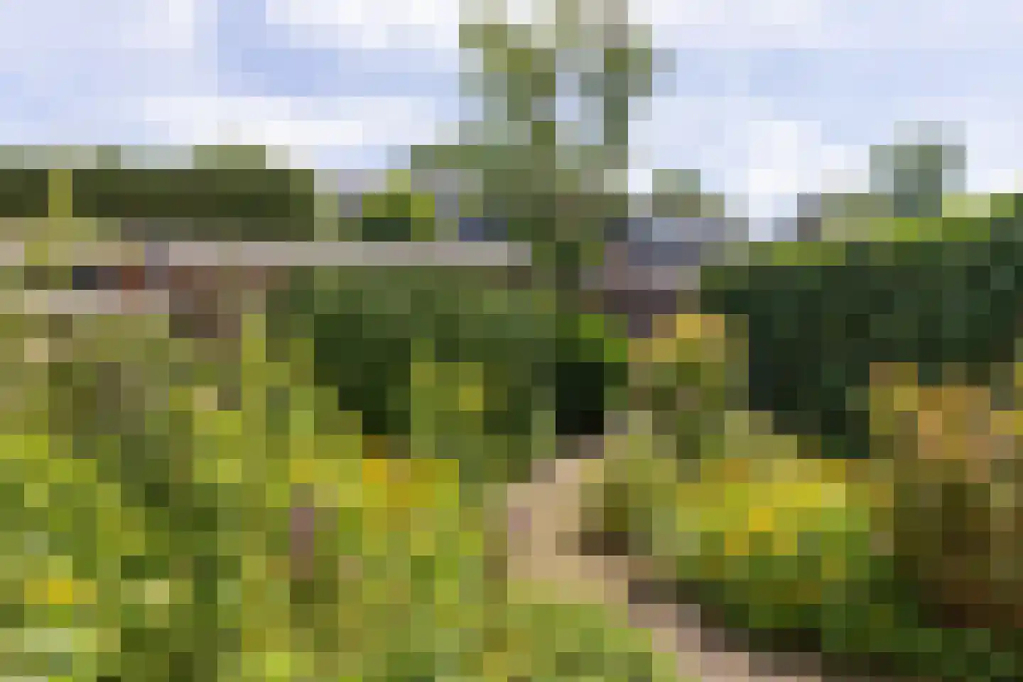 Prins Willem-Alexanderplantsoen 17 Maartensdijk thumbnail 4