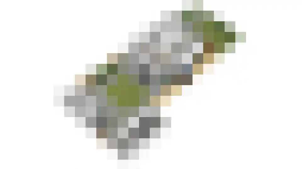 Prins Willem-Alexanderplantsoen 25 Maartensdijk thumbnail 49