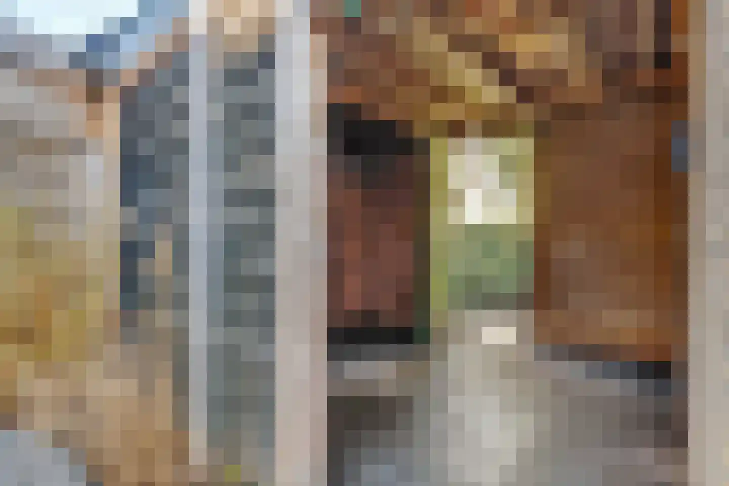 Prins Willem-Alexanderplantsoen 6 Maartensdijk thumbnail 37