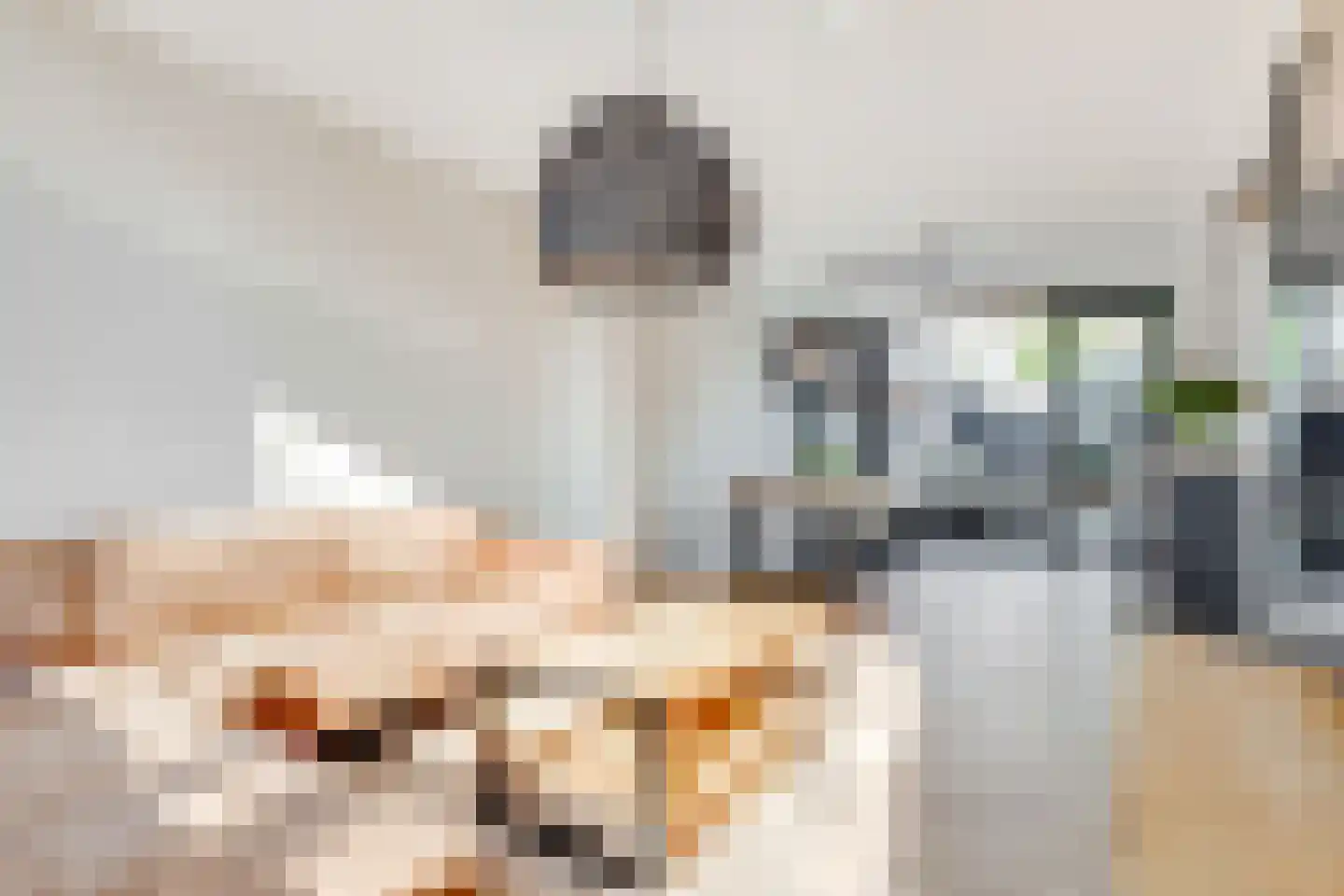 Prins Willem-Alexanderplantsoen 6 Maartensdijk thumbnail 6