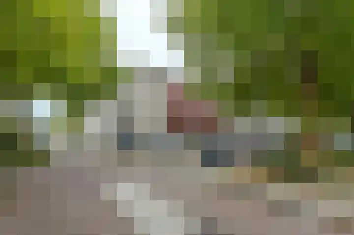 Prins Willem-Alexanderplein 110 Haarlem thumbnail 35
