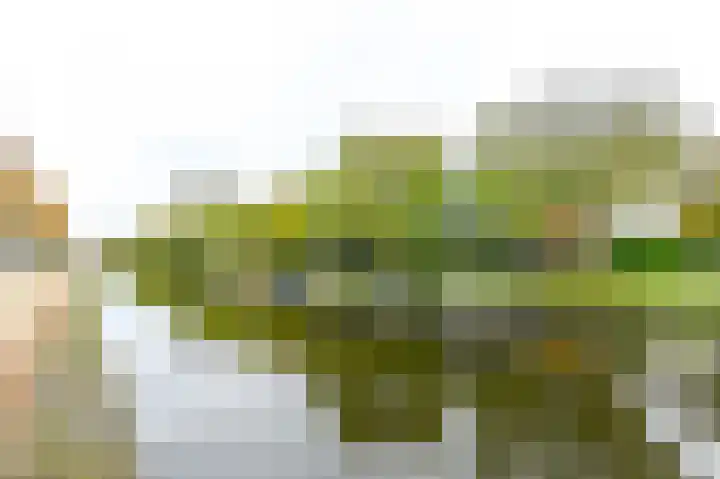 Prins Willem-Alexanderplein 110 Haarlem thumbnail 39