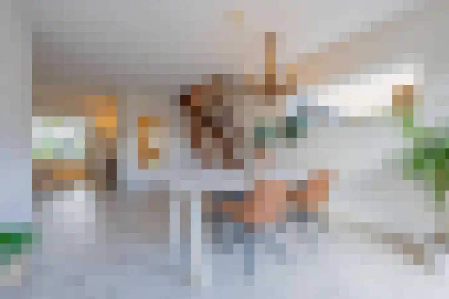 Prins Willem-Alexanderplein 30 Tiel thumbnail 13