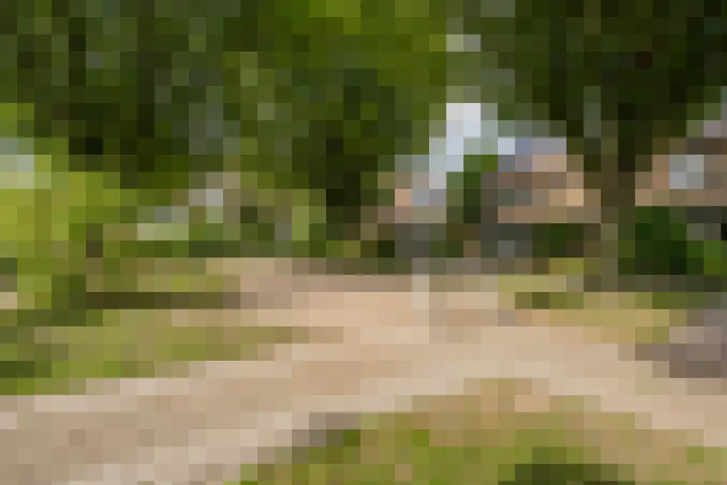 Prins Willem-Alexanderplein 30 Tiel thumbnail 7