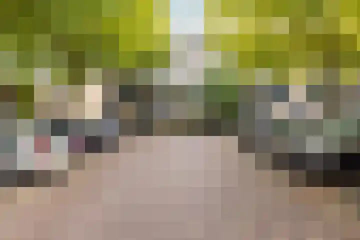 Prins Willem-Alexanderplein 4 Haarlem thumbnail 21