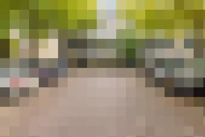 Prins Willem-Alexanderplein 4 Haarlem thumbnail 22
