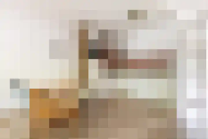 Prins Willem-Alexanderplein 4 Haarlem thumbnail 8