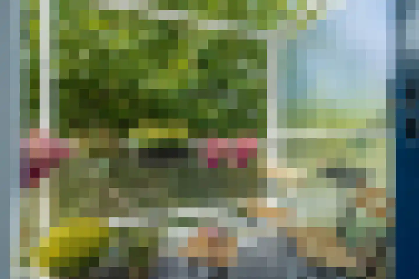Prins Willem-Alexanderplein 42 Haarlem thumbnail 13