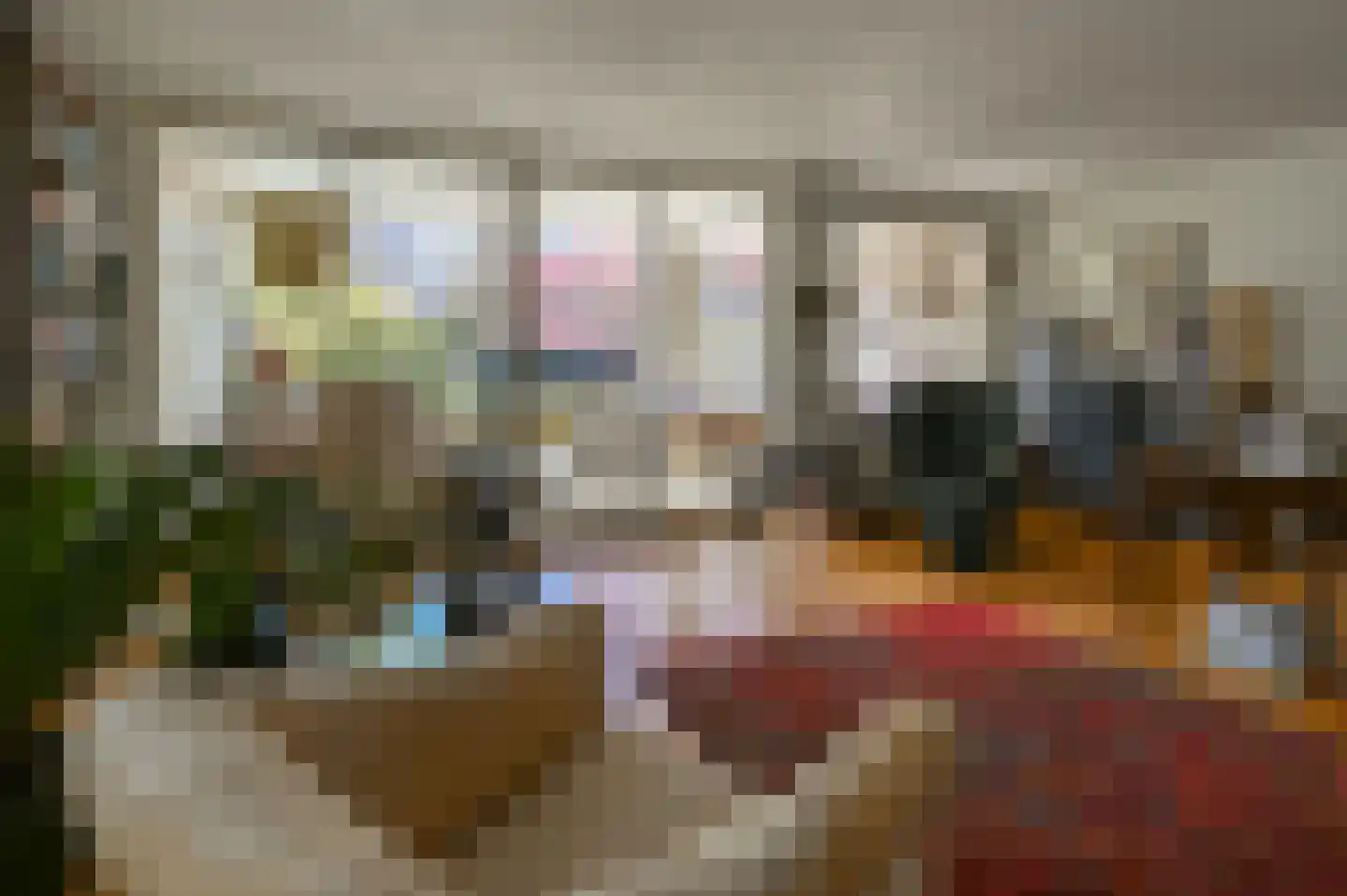 Prins Willem-Alexanderplein 54 Haarlem thumbnail 10