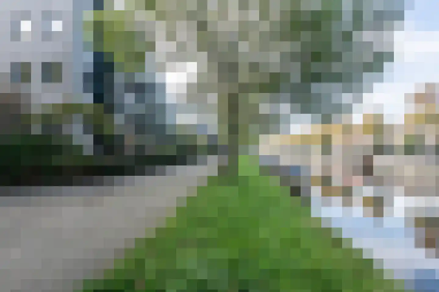 Prins Willem-Alexanderplein 64 Haarlem thumbnail 5