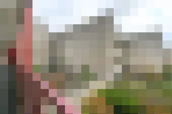 Prins Willem-Alexanderplein 90 Haarlem thumbnail 18