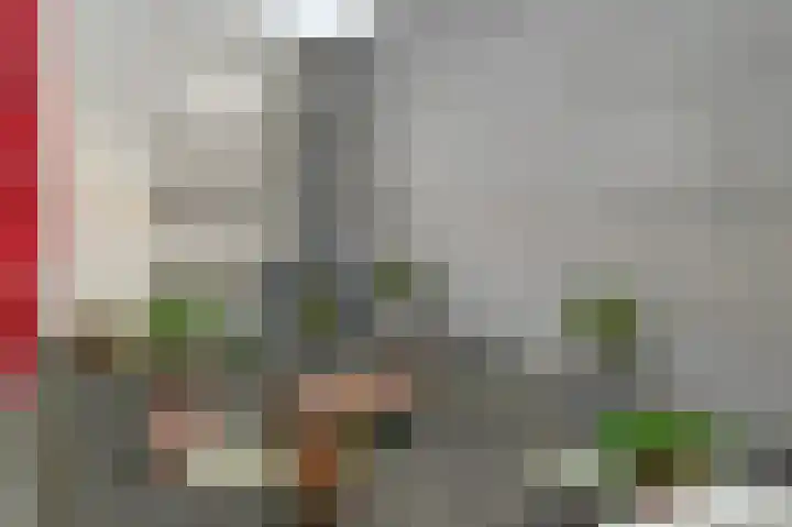 Prins Willem-Alexanderplein 90 Haarlem thumbnail 19