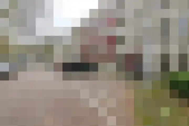 Prins Willem-Alexanderplein 90 Haarlem thumbnail 37