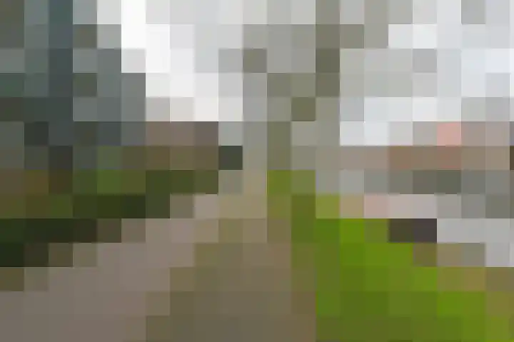 Prins Willem-Alexanderplein 90 Haarlem thumbnail 38