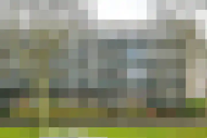 Prins Willem-Alexanderplein 90 Haarlem thumbnail 5