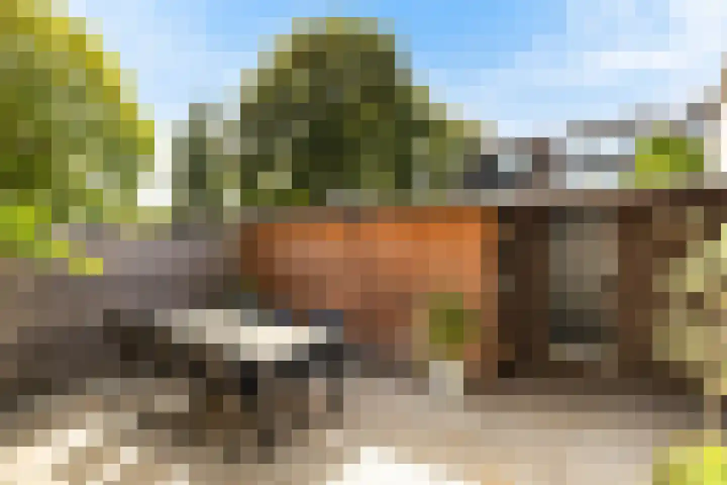 Prins Willem-Alexandersingel 37 Beesd thumbnail 22