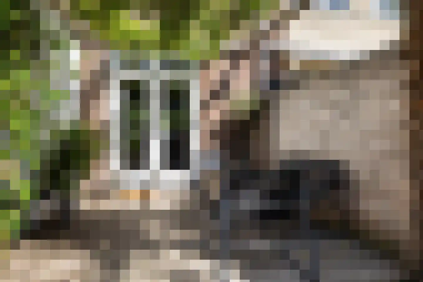 Prins Willem-Alexandersingel 37 Beesd thumbnail 26