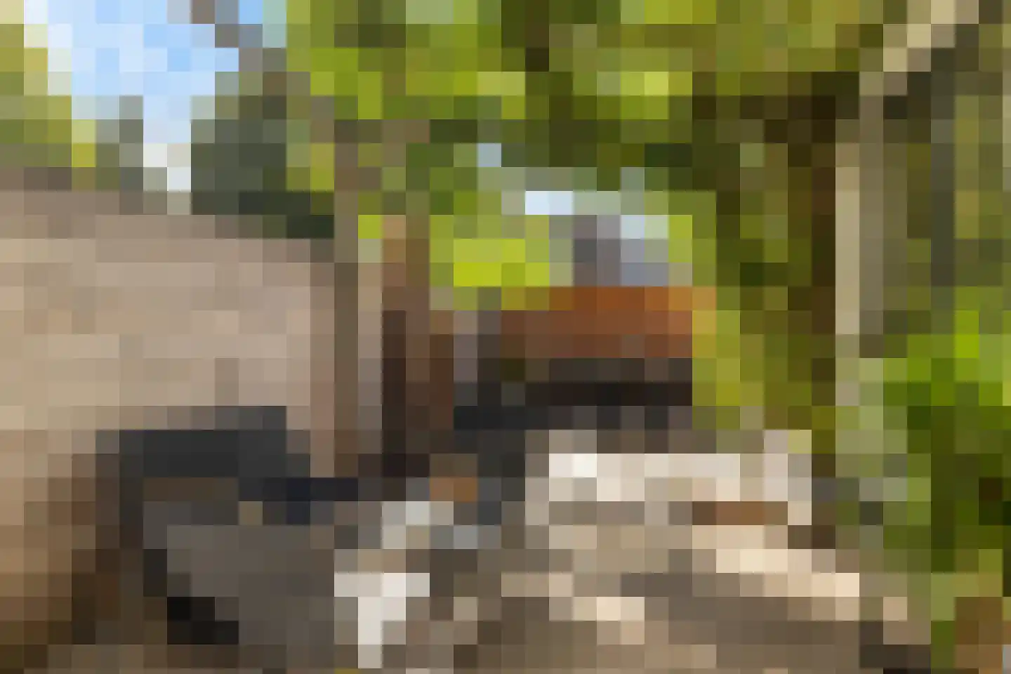 Prins Willem-Alexandersingel 37 Beesd thumbnail 4